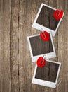 Vintage photo frames with red rose petals Royalty Free Stock Photo