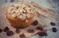 Vintage photo, Fresh muffin with oatmeal baked with wholemeal flour and ears of rye grain, delicious healthy dessert Royalty Free Stock Photo