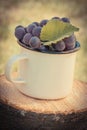 Vintage photo, Grapes with leaf in metallic mug on wooden stump in garden on sunny day
