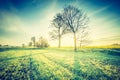 Vintage photo of idyllic sunrise over young cereal field. Royalty Free Stock Photo