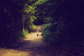 Vintage photo of little boy running and playing in forest at summer. Royalty Free Stock Photo