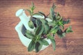 Vintage photo, Natural green mint in mortar, healthy lifestyle concept