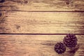 Vintage photo with pine cones on old wooden board