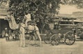 Vintage Photo of Princely State Twin Camel Cart Jaipur Rajasthan