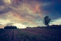 Vintage photo of storm clouds over field Royalty Free Stock Photo