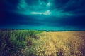 Vintage photo of storm clouds over wheat field Royalty Free Stock Photo