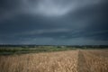 Vintage photo of storm clouds over wheat field Royalty Free Stock Photo