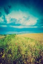 Vintage photo of storm clouds over wheat field Royalty Free Stock Photo