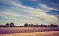 Vintage photo of stubble field Royalty Free Stock Photo