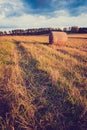 Vintage photo of stubble field Royalty Free Stock Photo