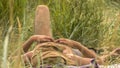 Man lying on beach. Heat Royalty Free Stock Photo