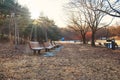 Sun rays through branches of trees,wooden bench in the park during winter time Royalty Free Stock Photo