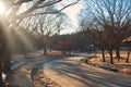 Sun rays through branches of trees,wooden bench in the park during winter time Royalty Free Stock Photo