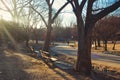 Sun rays through branches of trees,wooden bench in the park during winter time Royalty Free Stock Photo