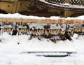 Vintage Piano musical instrument under the snow. Royalty Free Stock Photo