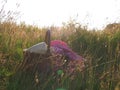 Vintage picnic basket and red gingham blanket shot in rural field Royalty Free Stock Photo