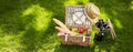 Vintage picnic hamper with vegetarian food Royalty Free Stock Photo