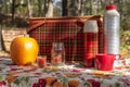 Vintage picnic items in fall