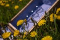 Vintage picnic suitcase on the lawn with yellow dandelions. Holiday concept in nature Royalty Free Stock Photo