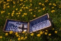 Vintage picnic suitcase on the lawn with yellow dandelions. Holiday concept in nature Royalty Free Stock Photo