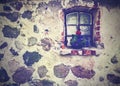 Vintage picture of flowers on the window, ancient building stone Royalty Free Stock Photo