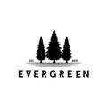 Vintage Pines tree, Evergreen, Hemlock, Spruce, Cedar trees logo design