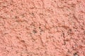 Vintage pink background. Texture of cement plaster. Rough painted wall of fiesta color. Copy space