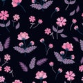 Vintage pink flowers in vector. Seamless pattern with embroidery. Beautiful floral illustration on black background Royalty Free Stock Photo