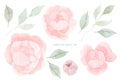Vintage pink flowers watercolor set. Rose blossom. greeting, invitation, wedding, birthday card. Botanical illustration. Green Royalty Free Stock Photo