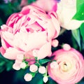 Vintage pink Peonies