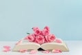 Vintage pink rose flowers with book on white and blue wooden background Royalty Free Stock Photo