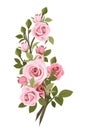 Vintage pink roses branch. Royalty Free Stock Photo