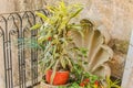 Vintage Plant in the Wall Decoration Livingroom