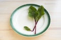 Vintage plate with red beet leaves