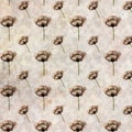 Vintage poppy pattern