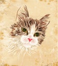 Vintage portrait of the cat