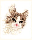 Vintage portrait of the cat