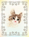 Vintage portrait of the cat