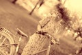 Vintage portrait of a girl with bike Royalty Free Stock Photo