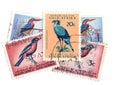 Vintage postage stamps from South Africa featuring birds. Royalty Free Stock Photo