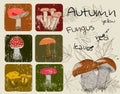 Vintage poster with autumn plants and fungis. Royalty Free Stock Photo