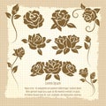 Vintage poster with roses flowers