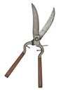 Vintage poultry shears