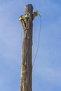 Vintage power lines on a wooden pole Royalty Free Stock Photo