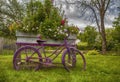 Antique Bicycle in the Garden