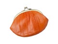 Vintage purse eel skin, orange