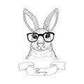 Vintage Rabbit sketch. Hand drawn vector illustration. Vector Print.