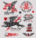 Vintage racing insignia graphics