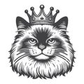 Vintage Ragdoll Cat Wearing Crown Engraved Illustration. Royalty Free Stock Photo