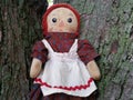 Raggedy Ann Portrait Royalty Free Stock Photo